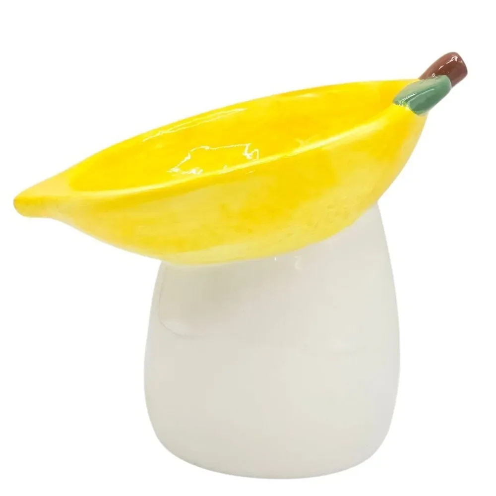Rockybear Pet Tilted And Elevated Cat Drinking Water Bowl Lemon‎ Pattern 6